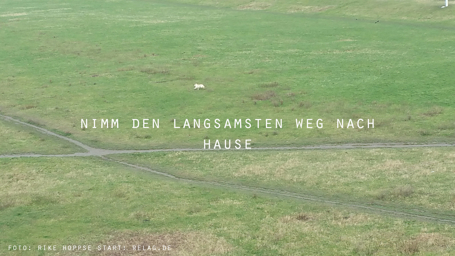 REAL-LIFE ADVENTURE GAME