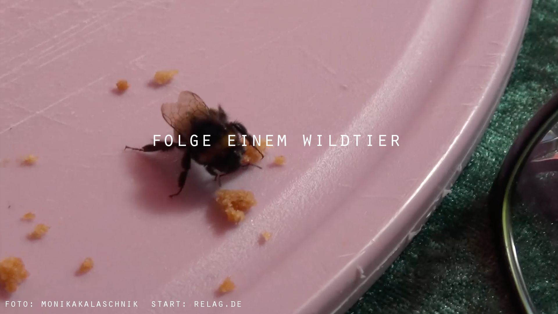 REAL-LIFE ADVENTURE GAME