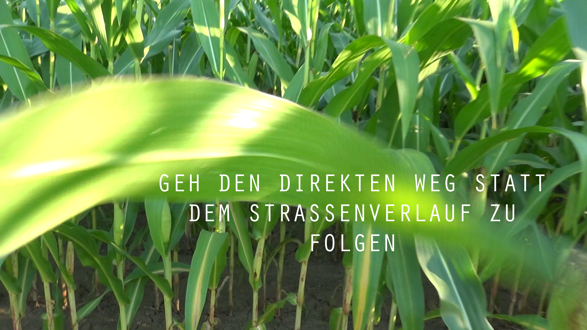 REAL-LIFE ADVENTURE GAME