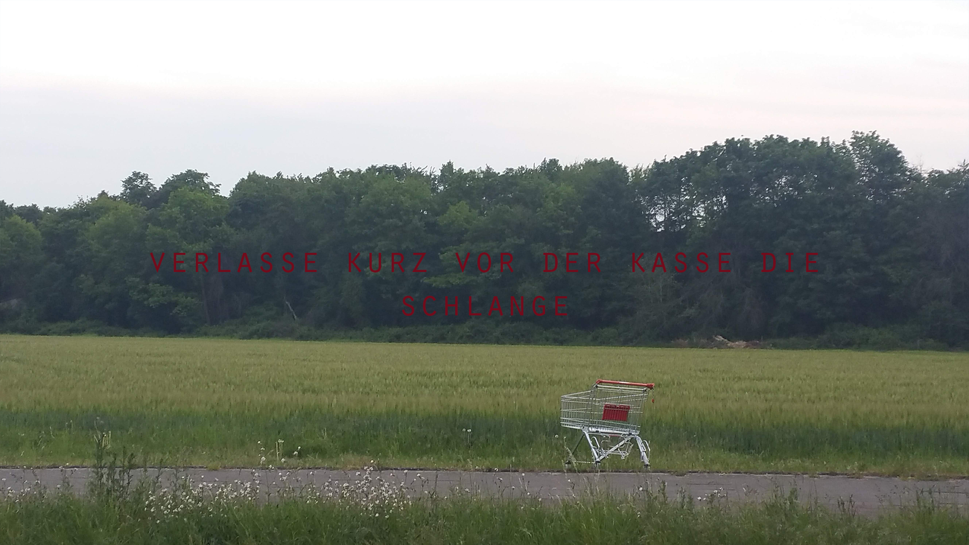 REAL-LIFE ADVENTURE GAME