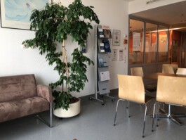 REAL-LIFE ADVENTURE GAME