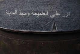 REAL-LIFE ADVENTURE GAME